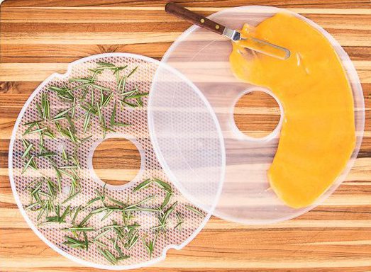 food dehydrator accessories
