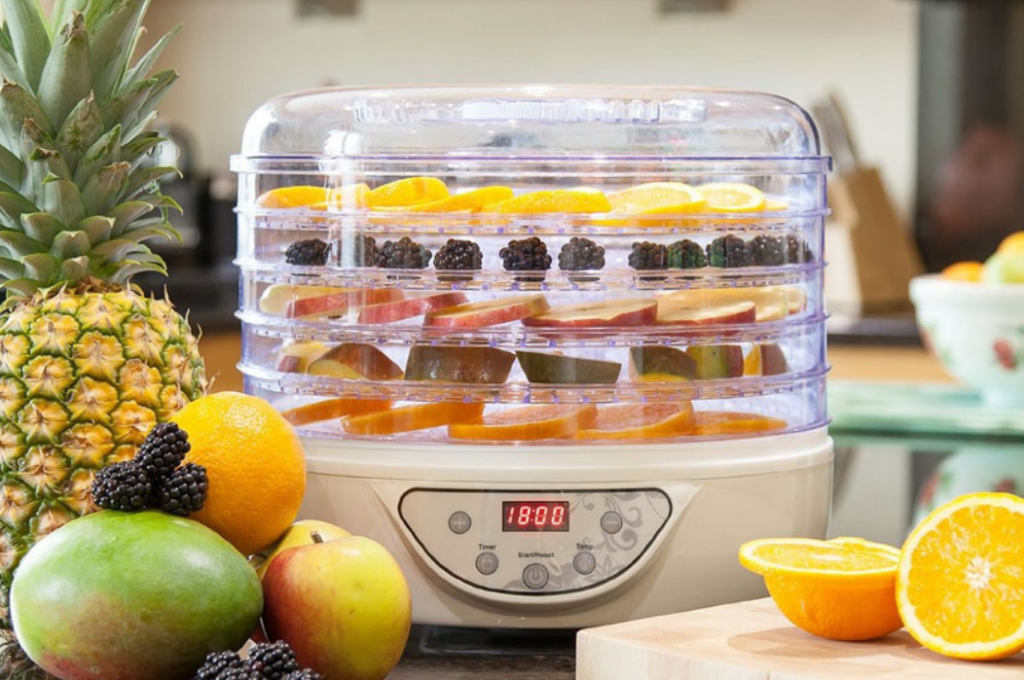 food-dehydrator-buying-guide